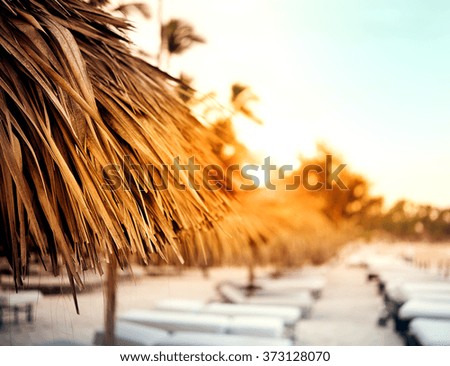 Closeup on sunshade from palm leaves, chairs for sunbathing behind