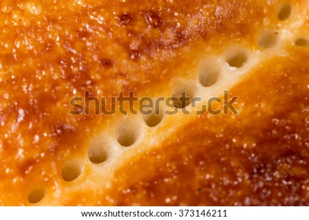 bread as a backdrop. macro