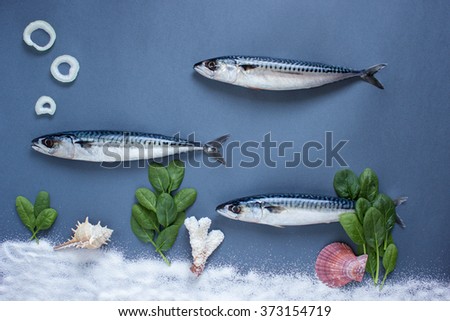 Delicious fresh fish on blue background. Fish with aromatic herbs, spices and vegetables - healthy food, diet or cooking concept