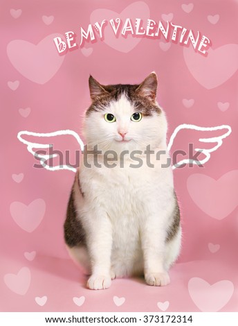 valentines day card with fat smiling cat  with angel wings and heart frame  and description be my valentine on the pink background