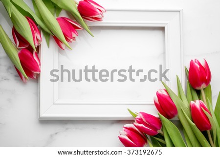 Tulip with blank picture frame on white marble background