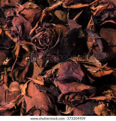 Background of dried red roses.