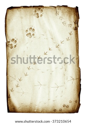 grunge paper sheet with animal footprints isolated on white