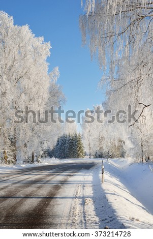 Winter wonderland snowcovered forest road with birch trees on a sunny day