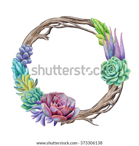  wreath made of succulent plants and twigs, watercolor botanical illustration, floral round frame clip art isolated on white background