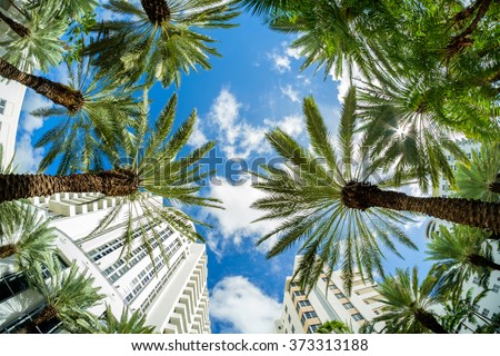Beautiful Miami Beach fish eye cityscape with art deco architecture and palm trees. Royalty-Free Stock Photo #373313188