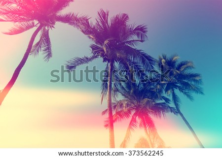 coconut tree at tropical coast,made with Vintage Tones,Warm tones