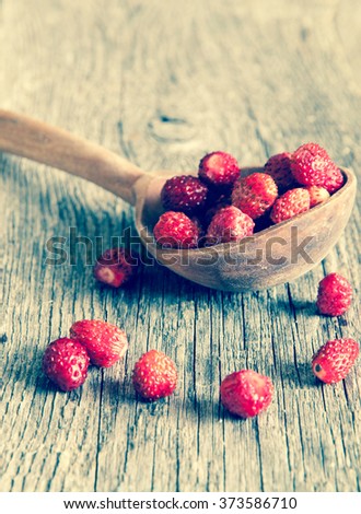 Wild strawberry on a wooden spoon/toned photo