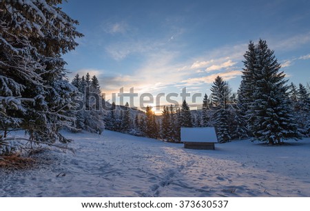 Sunrise in the winter forest in Slovenia.
