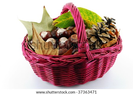 basket full with chestnut pine-cone and leaves fall scene