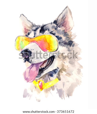 Watercolor siberian husky dog in cool sun glasses. Cute sheepdog on the rest. Beautiful alaskan cute pet. Unusual hand drawn illustration for fashion posters, print, textiles, banners, card design