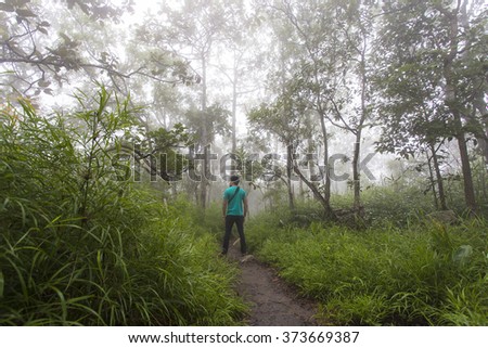 Trail through a mysterious dark old forest in fog. Magical atmosphere. Fairytale