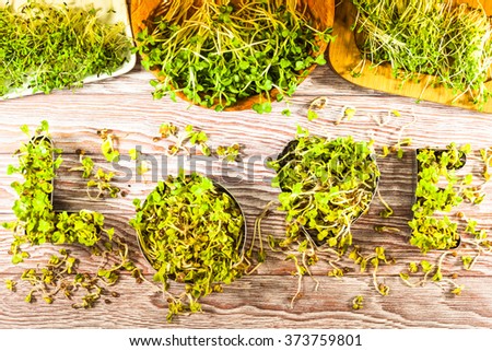 The word Love on the background of wooden planks made Ã?Â  of radish sprouts