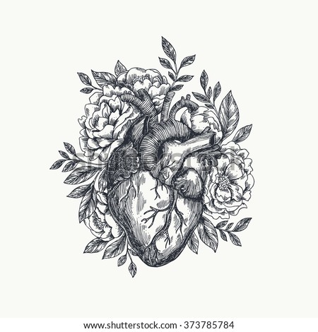 Valentines day card. Anatomical heart with flowers. Vector illustration Royalty-Free Stock Photo #373785784