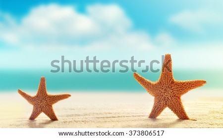 Summer beach. Starfish  on a sandy beach. The ocean, the beautiful sky and sunshine.