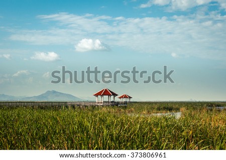 Cottage and trails in the water plants, Thailand / Space of sky for text some words
