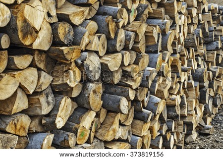 Wood at the depot, cut the log and ready for sale.