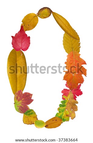 Number zero made of autumn leaves isolated on white