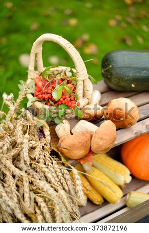 Autumn harvest with pills