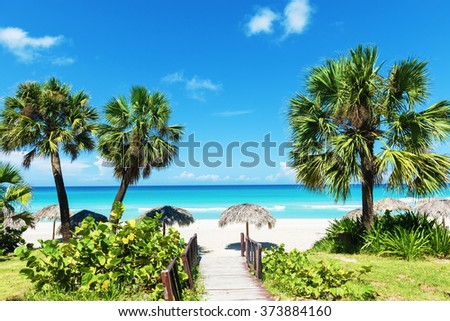 Caribbean white sand beach Royalty-Free Stock Photo #373884160