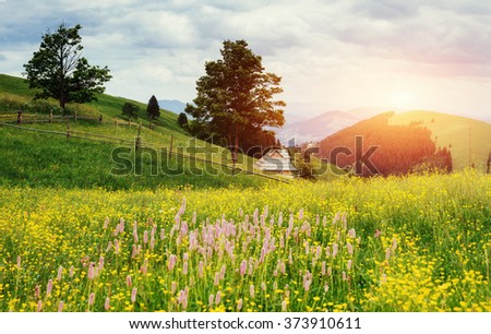 Fantastic sunset in the mountains of Ukraine. House summer. Summer field meadow flowers.