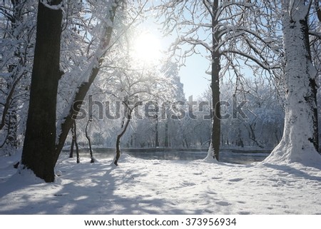 Winter landscape in the park in a cold, but sunny day. High resolution and beautiful snow details
