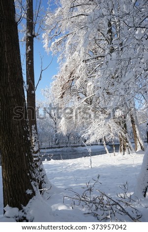 Winter landscape in the park in a cold, but sunny day. High resolution and beautiful snow details