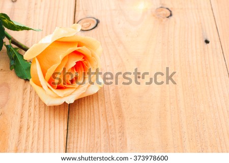 orange  rose on wood table,Valentine day