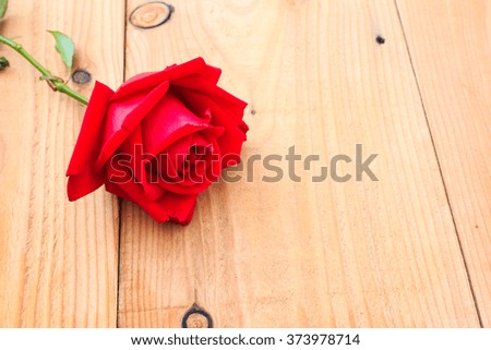 red rose on wood table,Valentine day