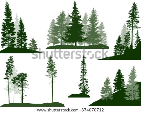 illustration with fir trees set isolated on white background Royalty-Free Stock Photo #374070712