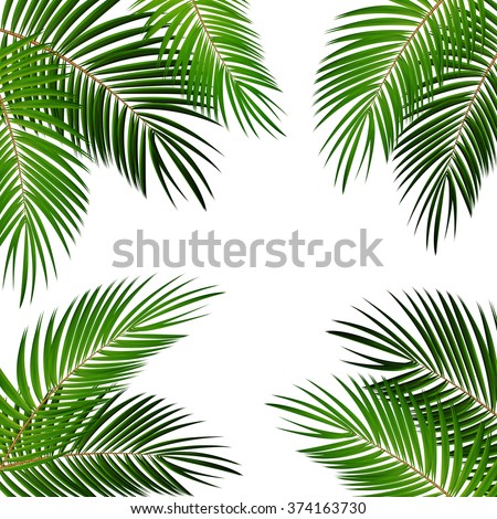 Palm Leaf Vector Background Illustration EPS10 Royalty-Free Stock Photo #374163730