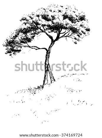 Sketch. Lonely tree on a hill.Pine and ladder.  Vector illustration.Hand drawing.