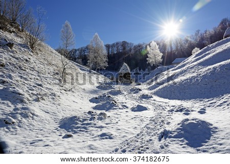 Frozen sunny day of a winter, on wild transylvania hills. Fundatura Ponorului. Romania. Low key, dark background, spot lighting, and rich Old Masters
