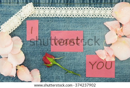 Valentine, greeting card with knitting couple in love, little red rose and soft pink rose petals. Lettering  I want you on the denim background. Handmade concept.