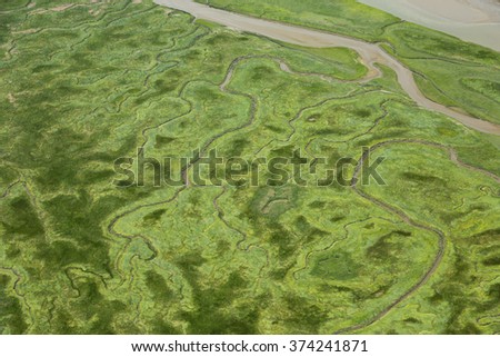 Aerial shot of Verdronken Land van Saeftinghe in Zeeland, Netherlands
