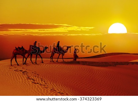 Beautiful sunset  with camels silhouettes in dunes at  desert , Jaisalmer,India Royalty-Free Stock Photo #374323369