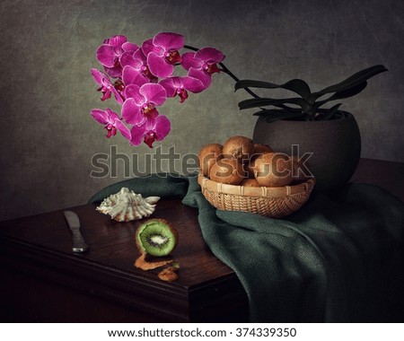 Still life with orchid
