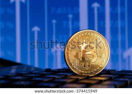 one golden bitcoin on blue background