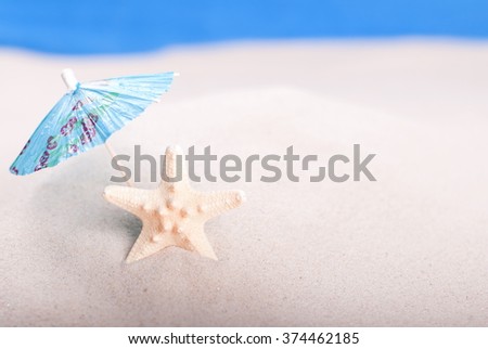 starfish on the beach under an umbrella