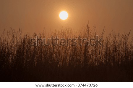 sunset above the winters field and dry grass