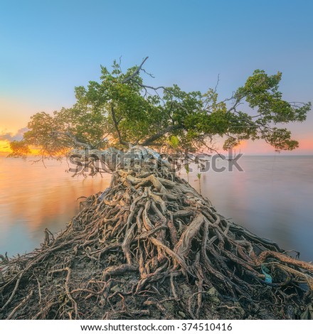 Beautiful sunrise over the tropical beach, Thailand. Vacation and background concept