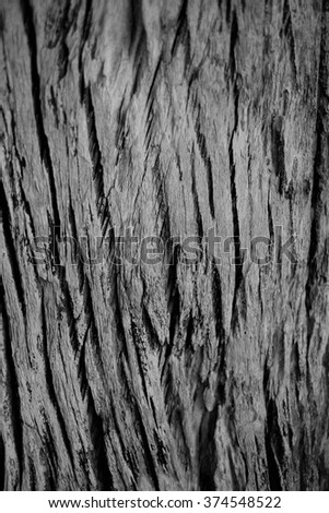 wood texture/wood texture background black and white