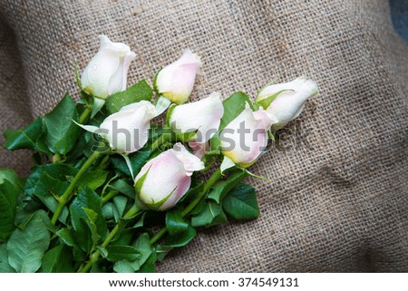 pink rose on jute texture