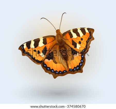 Vector beautiful butterfly