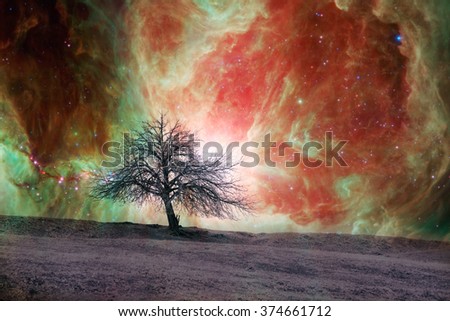 red alien sky landscape with alone tree over the night sky with many stars - elements of this image are furnished by NASA