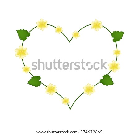 Love Concept, Illustration of Yellow Abutilon Indicum Flowers, Indian Abutilon Flowers or Indian Mallow Flowers Forming in Heart Shape Isolated on White Background.