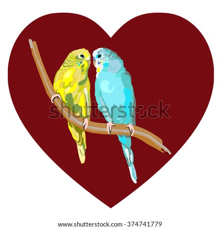 Sun Parakeets vector of birds isolated on white background, colorful parrot couple perched on branch, bird wildlife image illustrated in hand drawn 