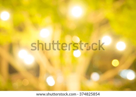 Bokeh of light under the tree