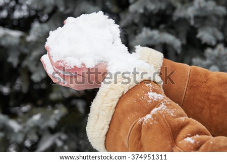 Female hands full of snow, winter season concept. Fir tree background.