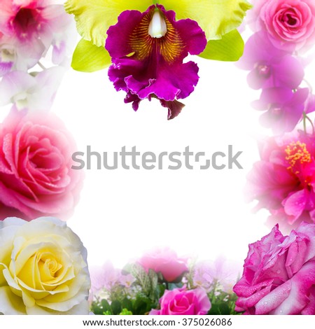 Isolate assorted flowers such as roses, orchids, mixed together to create a beautiful picture frame.